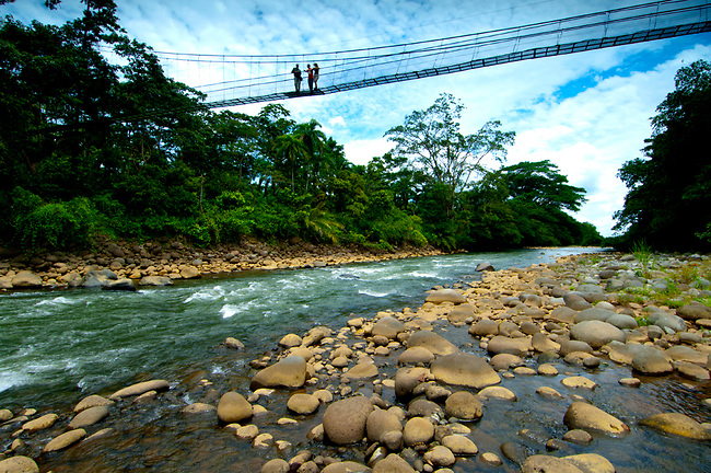 Costa Rica Nature Guide